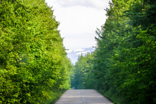 林荫公路