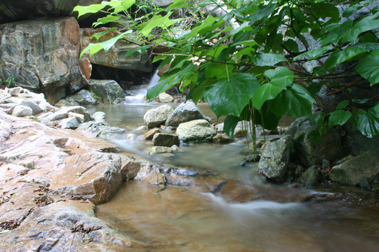 清澈河水