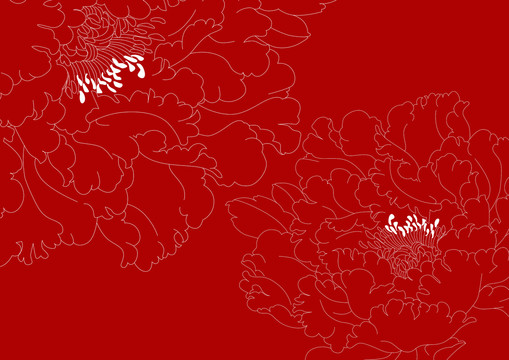 牡丹