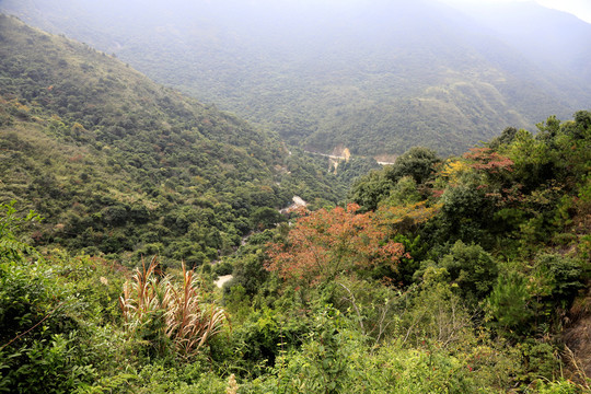 山坳秋色