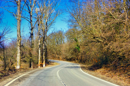 田间公路