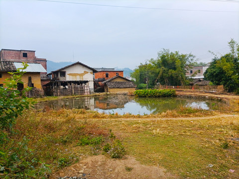 乡村早晨