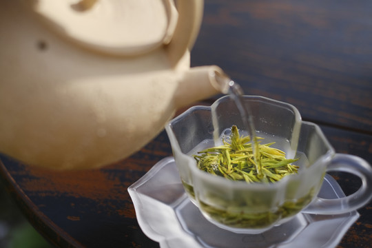 茶艺师泡茶