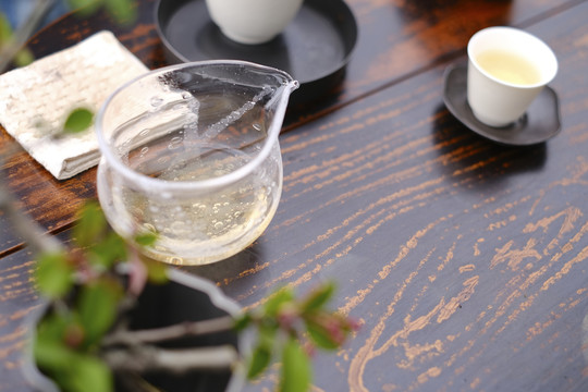 茶艺师泡茶