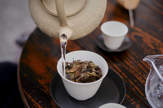 茶艺师泡茶