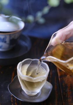 茶艺师泡茶