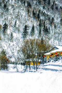 雪景