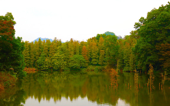 公园风景