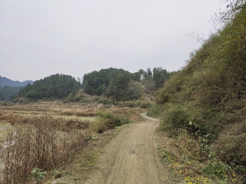 乡村田园风光