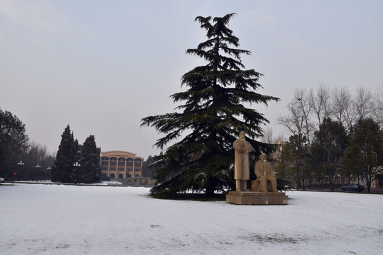 中央党校雪景如画