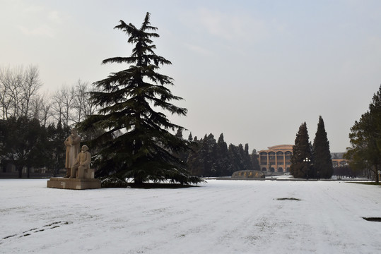 中央党校雪景如画