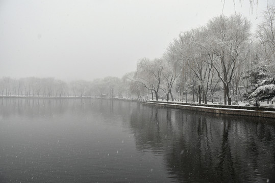 中央党校雪景如画