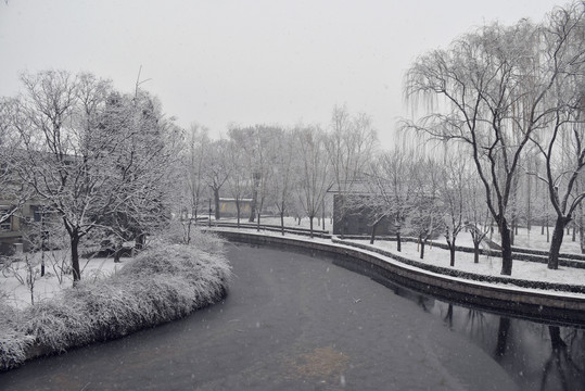 中央党校雪景如画