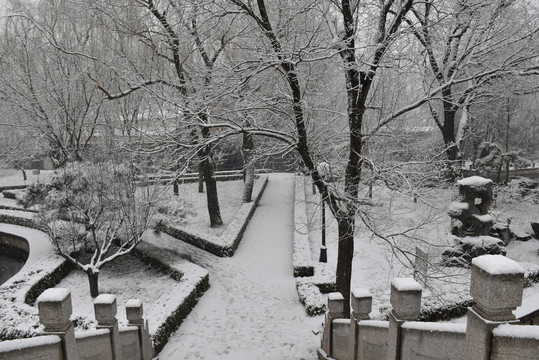 中央党校雪景如画