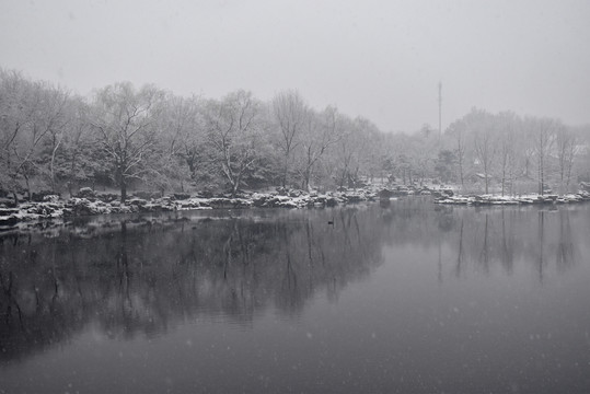 中央党校雪景如画