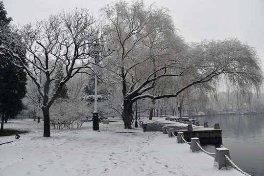 中央党校雪景