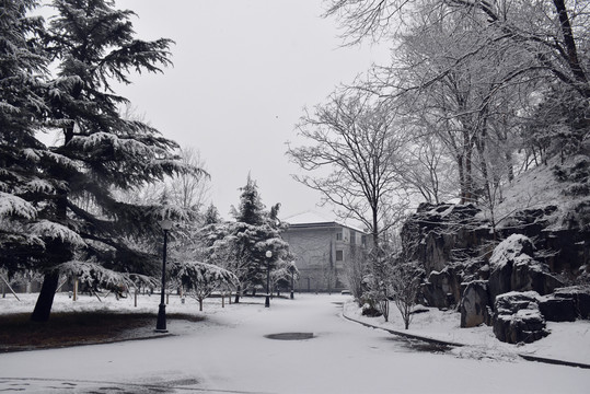 中央党校雪景