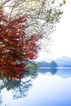 水墨西湖秋景