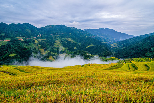 贵州加榜梯田