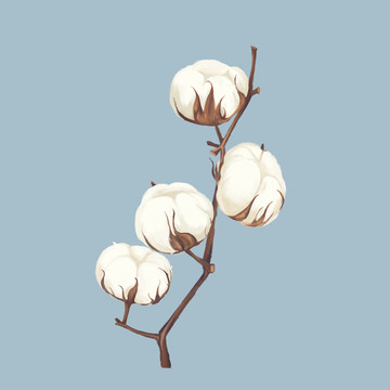原創(chuàng)手繪棉花