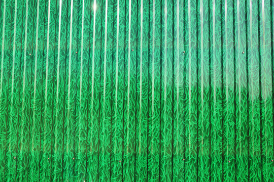绿色围墙
