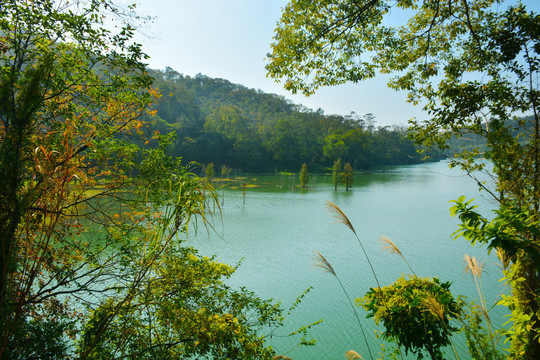 湖泊景色