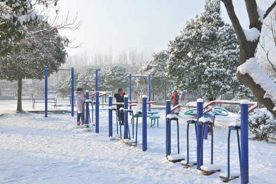 公园雪地游玩