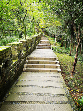 旅游步道