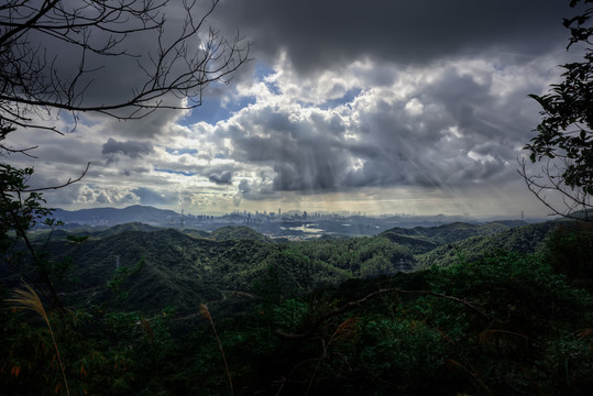 山顶风光