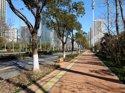 空旷的城市道路绿道