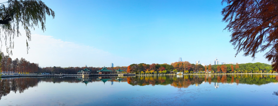 武汉东湖秋景