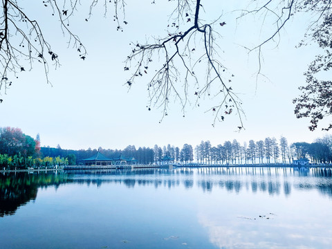 武汉东湖秋景