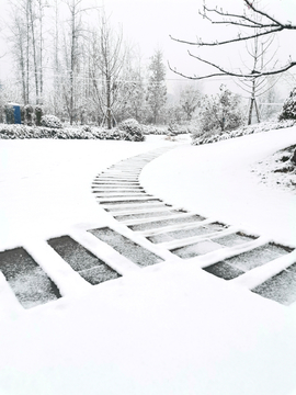 雪景