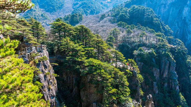 黄山排云亭风光