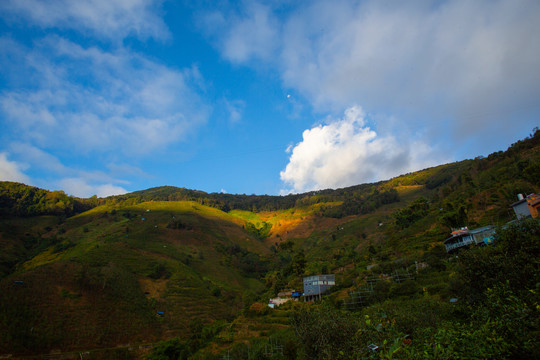 冰岛村