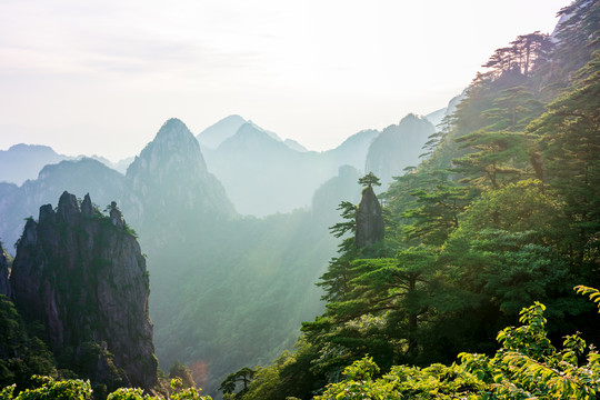 黄山奇峰怪石