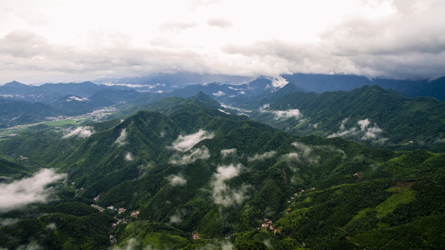 雨后红桃