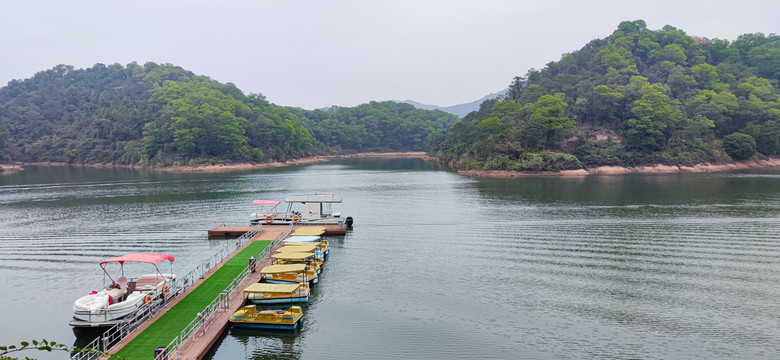 九龙湖生态公园