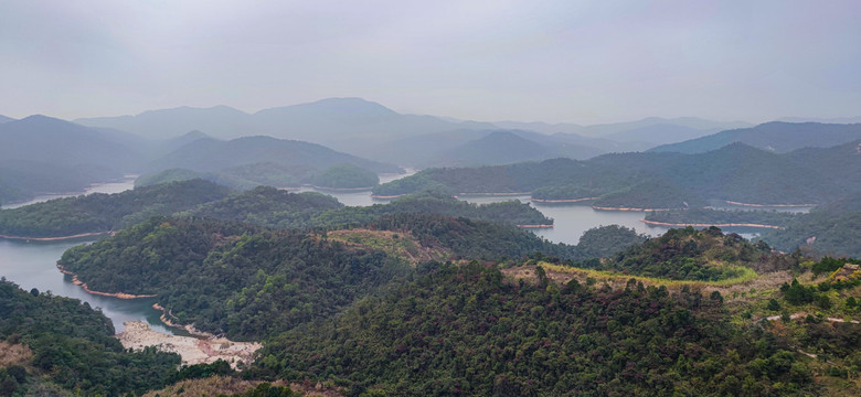 九龙湖生态公园