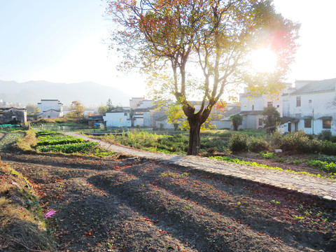 黟县卢村