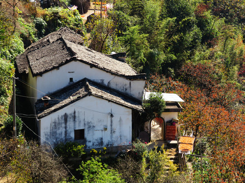 山里人家