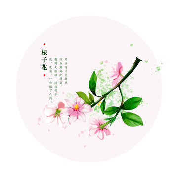 栀子花