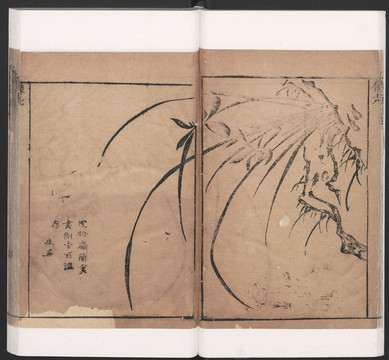 陳洪綬西廂記真本圖冊(cè)蘭花寫(xiě)真
