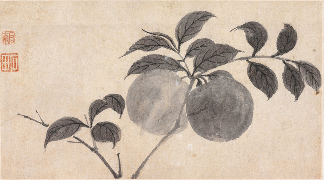 沈周花豆莢圖冊甜瓜圖