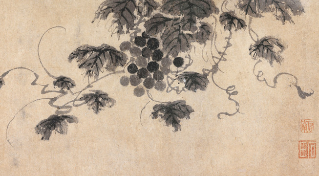 沈周蓮花豆莢圖冊葡萄圖