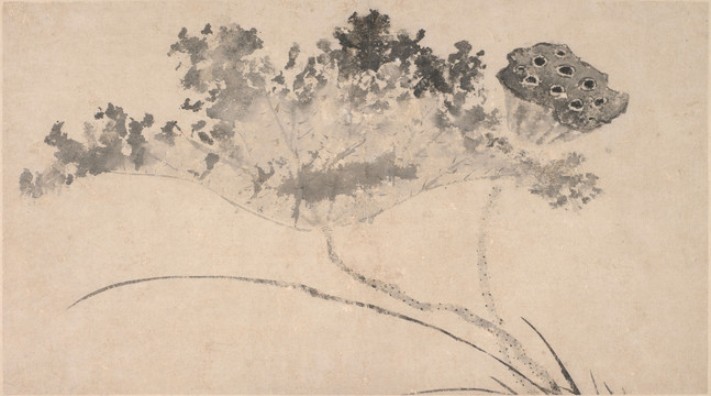 沈周蓮花豆莢圖冊(cè)蓮蓬
