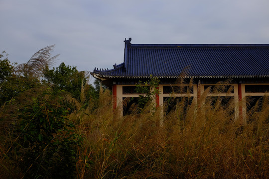 废弃宫殿