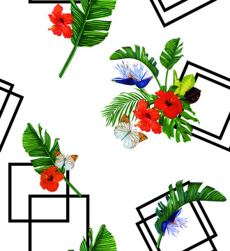 芭蕉葉