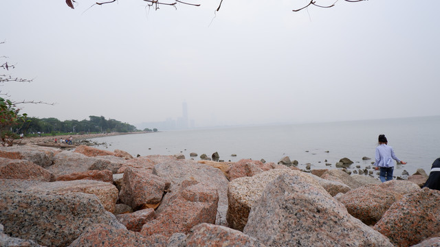 深圳湾的海滩与石头