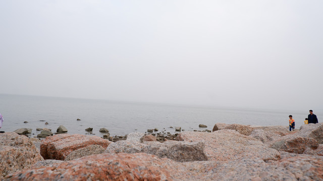 深圳湾的海滩与石头